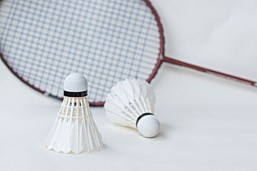 身心合一的 身心合一的