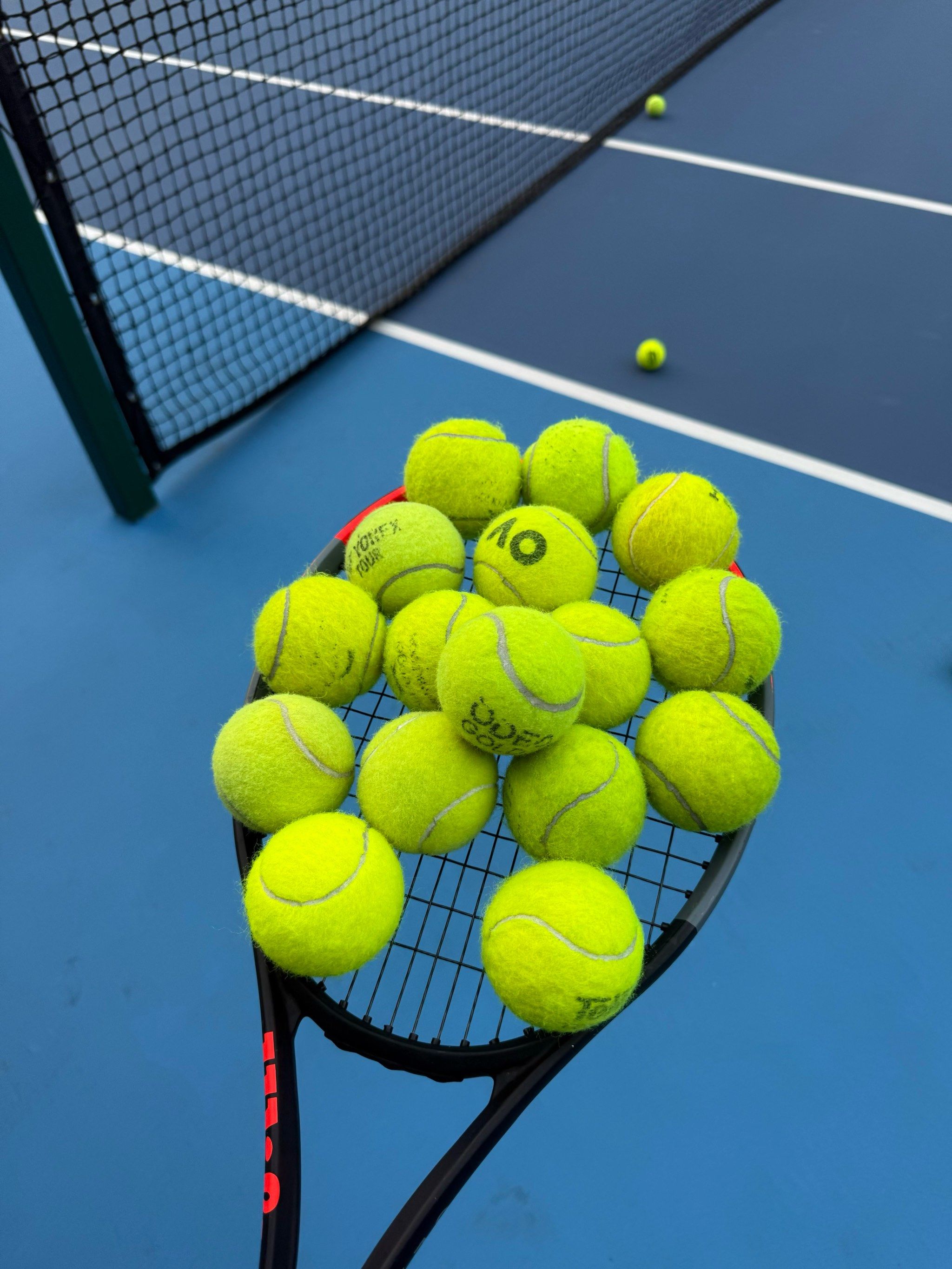 而郑允芝则 而郑允芝则